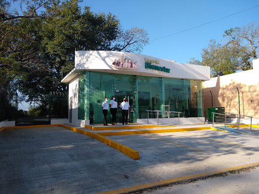 Banco Banco Del Bienestar - Tuxtepec San Bartolo
